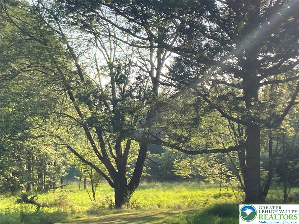 Springfield Twp, Pennsylvania 18077, United States, 4 Bedrooms Bedrooms, ,3 BathroomsBathrooms,Residential,Active,168943