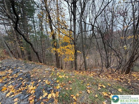 Photo of Chatham Hill Road #4, Jackson Twp, PA 18360 (MLS # 768035)