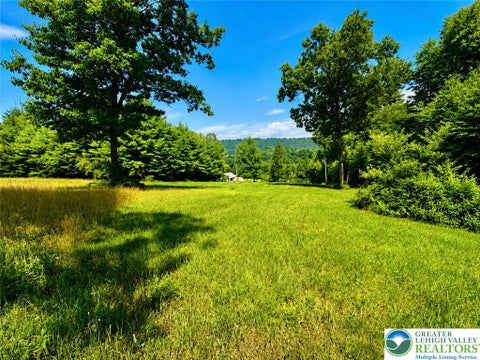 Vacant Land For Sale - Vacant Land Off Lakewood Drive<br/> Eldred Twp, PA 18353