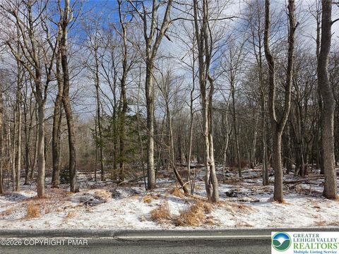 1724 E Old Stage Road Penn Forest Twp PA 18210