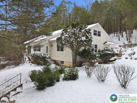Photo of 172 Evergreen Hollow Road, Chestnuthill Twp, PA 18330 (MLS # 769126)