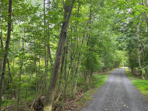 Vacant Land For Sale - Abel Colony Road<br/> Plainfield Twp, PA 18091
