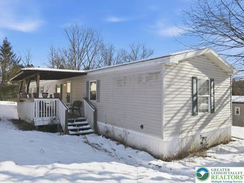 Photo of 286 Lower Nis Hollow Drive, Mahoning Twp, PA 18235 (MLS # 769380)