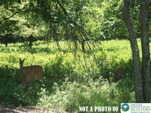 Photo of Peet Brook Road, Other PA Counties, PA 16923 (MLS # 773672)