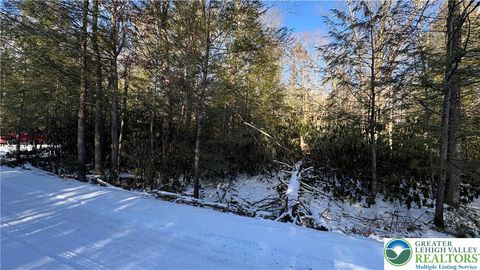 Photo of Driftwood Drive, Kidder Twp, PA 18210 (MLS # 770371)