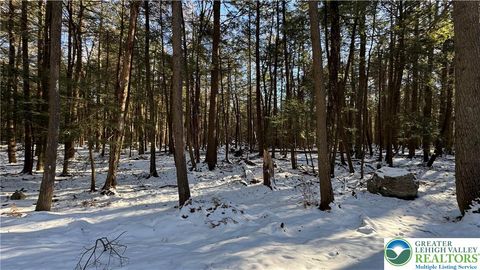 Photo of Treetop Lane, Kidder Twp, PA 18210 (MLS # 770367)