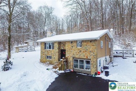 Photo of 370 Gaffney Hill Road, Williams Twp, PA 18042 (MLS # 770819)