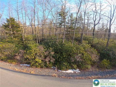 Vacant Land For Sale - Delware Drive #C281<br/> Penn Forest Twp, PA 18229