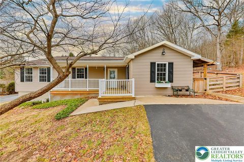 370 W White Bear Drive Summit Hill Boro PA 18250