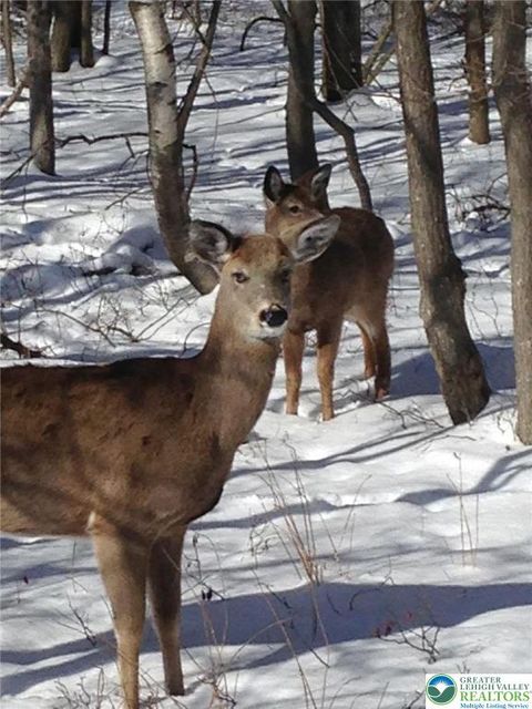 Photo of 6003 Scenic Drive, Chestnuthill Twp, PA 18210 (MLS # 769933)