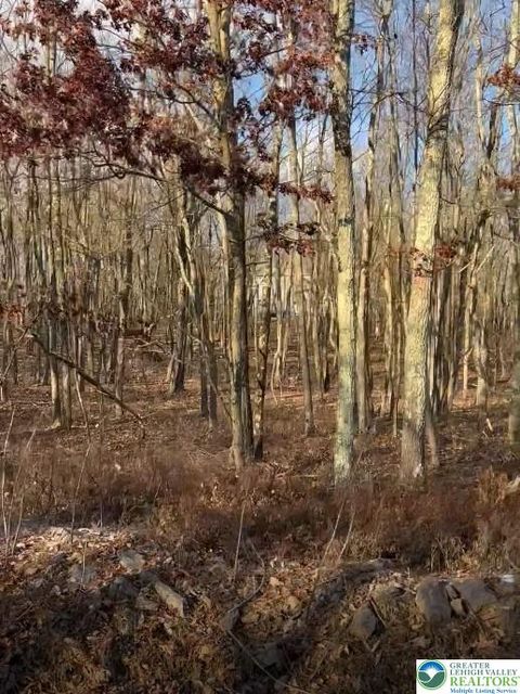 Photo of 55 Arapahoe Road #MV2330, Penn Forest Twp, PA 18210 (MLS # 765926) Photo of 55 Arapahoe Road #MV2330, Penn Forest Twp, PA 18210 (MLS # 765926)