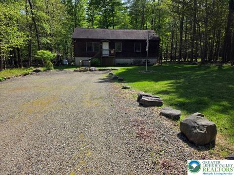 Photo of 1037 Maplewood Drive, Newfoundland, PA 18445 (MLS # 779384)