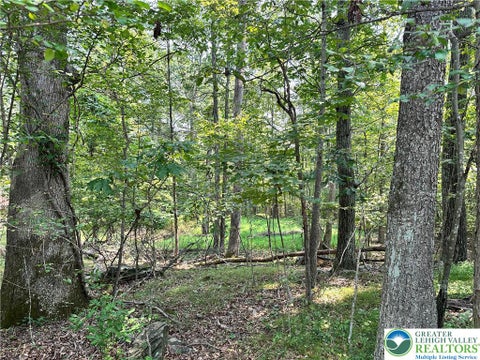 Vacant Land For Sale - Timber Hill Road #2B<br/> Monroe County, Price Twp, PA 18332