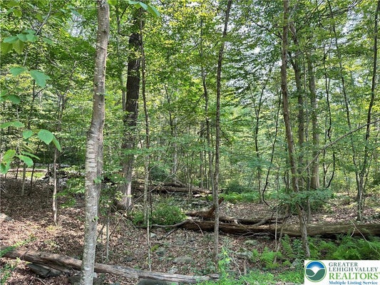 ST MORITZ CT, HENRYVILLE, PA 18332 - Image d89ea0c76e14c7f9c8d392deeacc4d8f/1522891495