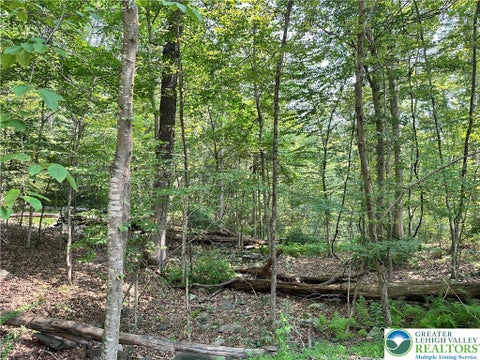 Vacant Land For Sale - St Moritz Court #4F<br/> Monroe County, Price Twp, PA 18332