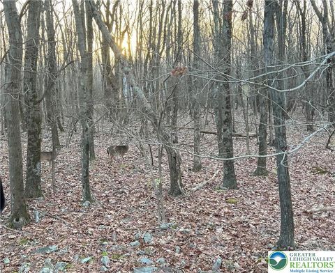 Photo of 36 Occoquan Trail, Penn Forest Twp, PA 18210 (MLS # 765928) Photo of 36 Occoquan Trail, Penn Forest Twp, PA 18210 (MLS # 765928)