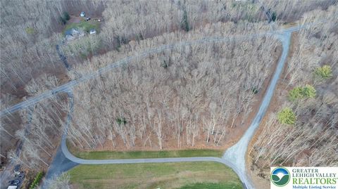 Lot C1.13 Packer Drive Packer Twp PA 18255