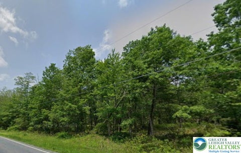 Vacant Land For Sale - Cherry Lane Church Road #T 535<br/> Monroe County, Pocono Twp, PA 18332