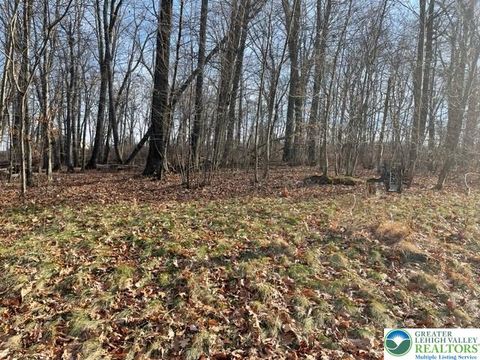 Photo of 81 Shepherds Hill Drive #lot 9, Upper Mt Bethel Twp, PA 18343 (MLS # 770879)