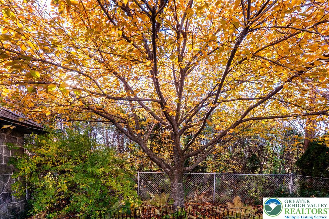 South Whitehall Twp, Pennsylvania 18104, United States, 5 Bedrooms Bedrooms, ,3 BathroomsBathrooms,Residential,Active,244361