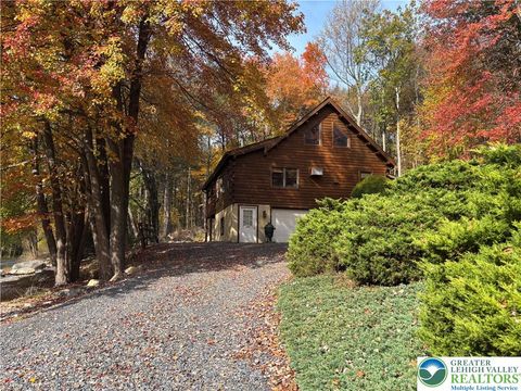 1153 Lower Smith Gap Road Eldred Twp PA 18058