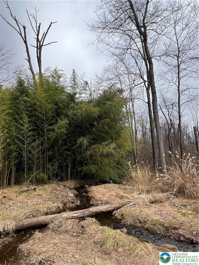 1598 Hafler Road