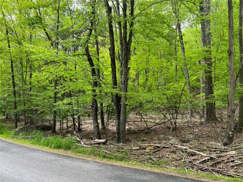Vacant Land For Sale - 589 Tamarack Lane<br/> Lake Ariel, PA 18436