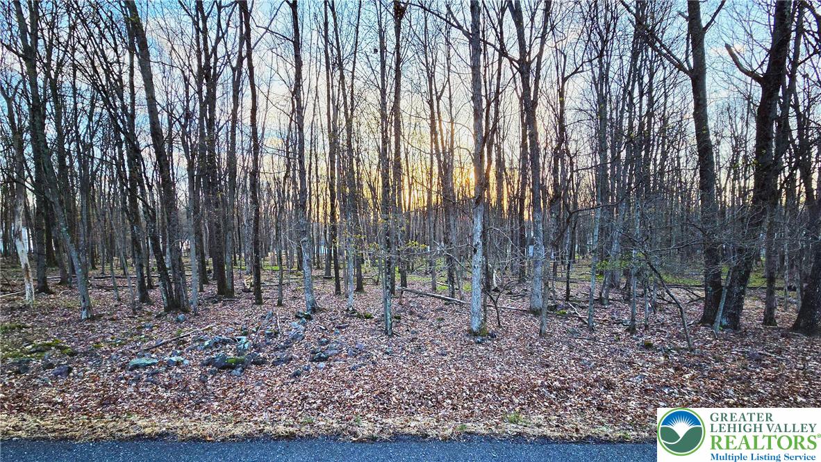 Mohawk Trail 713A