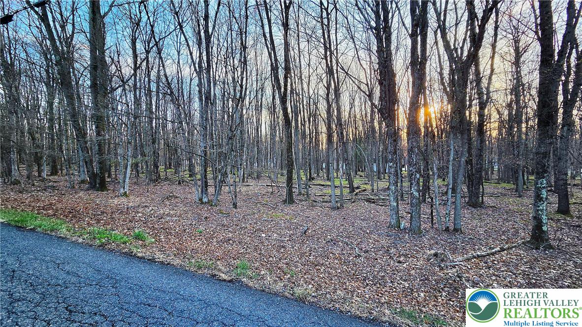 Mohawk Trail 713A