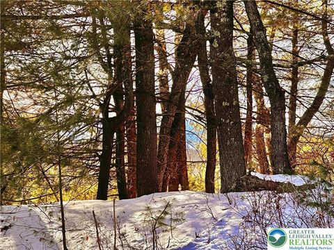 Photo of Rose Street #Lot 5, Pocono Twp, PA 18355 (MLS # 771875)