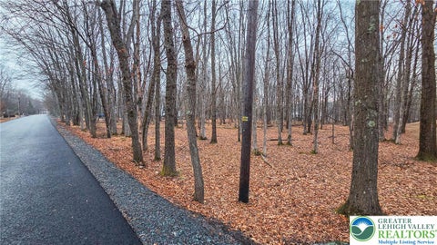 Vacant Land For Sale - Crescent Way #206<br/> Tunkhannock Twp, PA 18210
