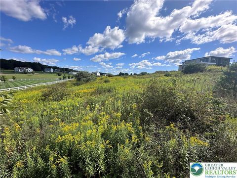 Photo of Dayne Drive, Towamensing Twp, PA 18235 (MLS # 759416) Photo of Dayne Drive, Towamensing Twp, PA 18235 (MLS # 759416)