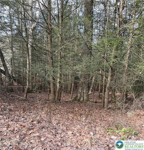 Photo of 2287 Locust Ridge Road #5, Tobyhanna Twp, PA 18347 (MLS # 765879) Photo of 2287 Locust Ridge Road #5, Tobyhanna Twp, PA 18347 (MLS # 765879)