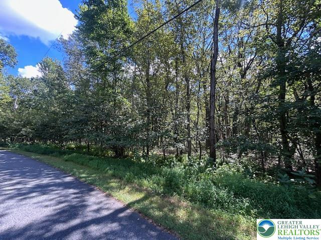 Lot 20ALAS Piney Woods Drive