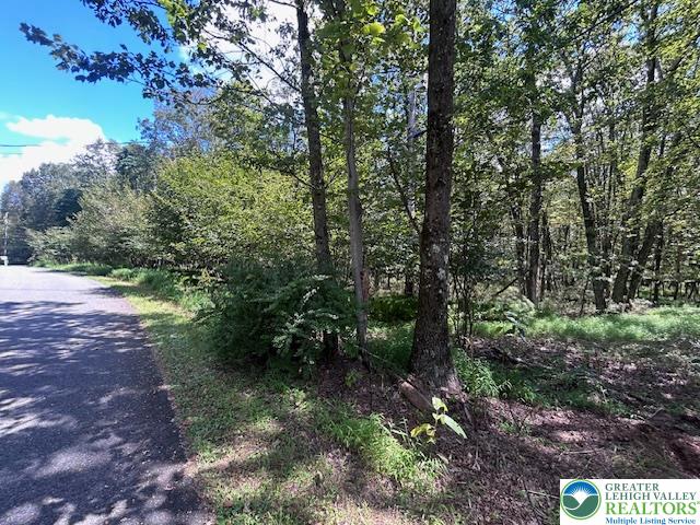 Lot 20ALAS Piney Woods Drive