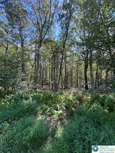 Lot 20ALAS Piney Woods Drive