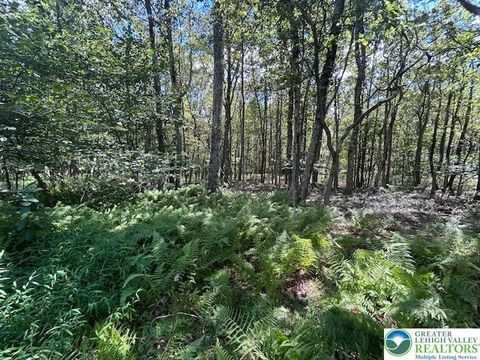 Lot 20ALAS Piney Woods Drive Penn Forest Twp PA 18229