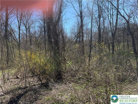 Photo of 1318 Blue Church Road, Coopersburg Boro, PA 18036 (MLS # 774656)