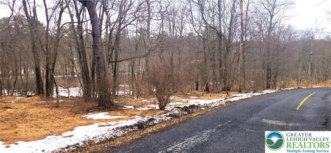 Photo of Brook Run Lane, Tunkhannock Twp, PA 18210 (MLS # 772767)