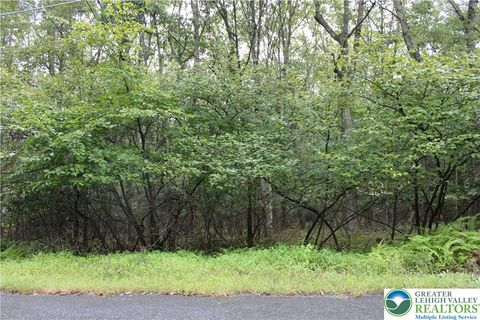 Photo of 215 Maple Drive, Penn Forest Twp, PA 18229 (MLS # 763203) Photo of 215 Maple Drive, Penn Forest Twp, PA 18229 (MLS # 763203)
