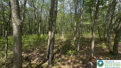 Photo of Seneca Trail, Penn Forest Twp, PA 18210 (MLS # 770290)