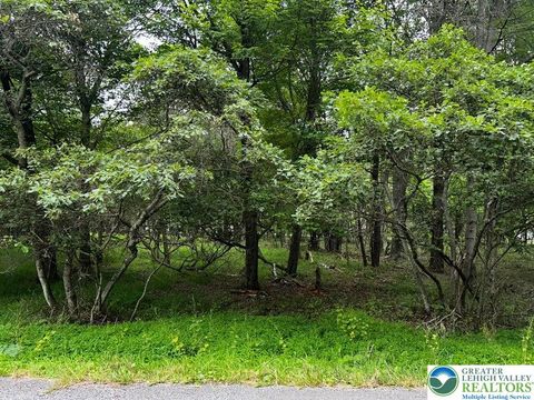 Photo of 1850 Chippewa Trail, Penn Forest Twp, PA 18210 (MLS # 762701) Photo of 1850 Chippewa Trail, Penn Forest Twp, PA 18210 (MLS # 762701)