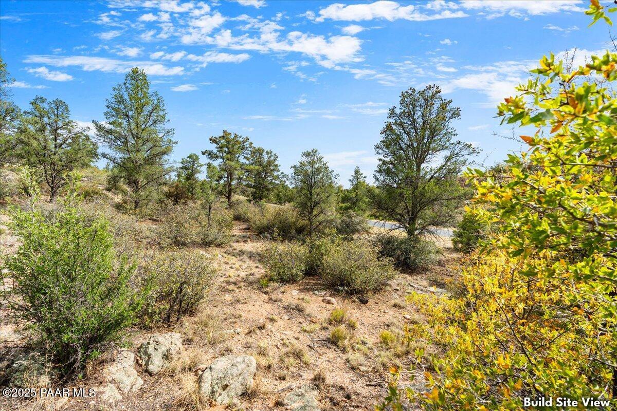 12780 Cooper Morgan Trail