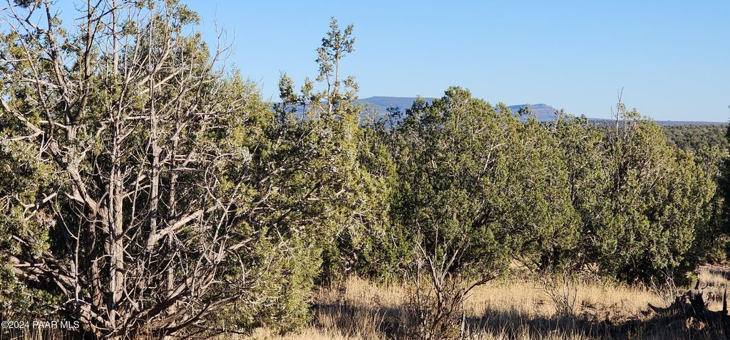 Photo of 88 Rose Lane, Ash Fork, AZ 86320 (MLS # 1077692)