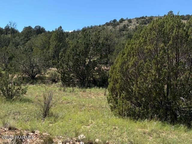 Photo of 52714 N Calle Campo, Seligman, AZ 86337 (MLS # 1084915)