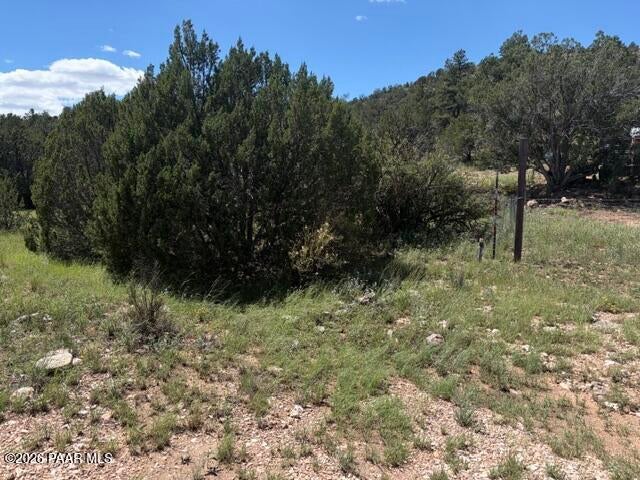 Photo of 52714 N Calle Campo, Seligman, AZ 86337 (MLS # 1084915)