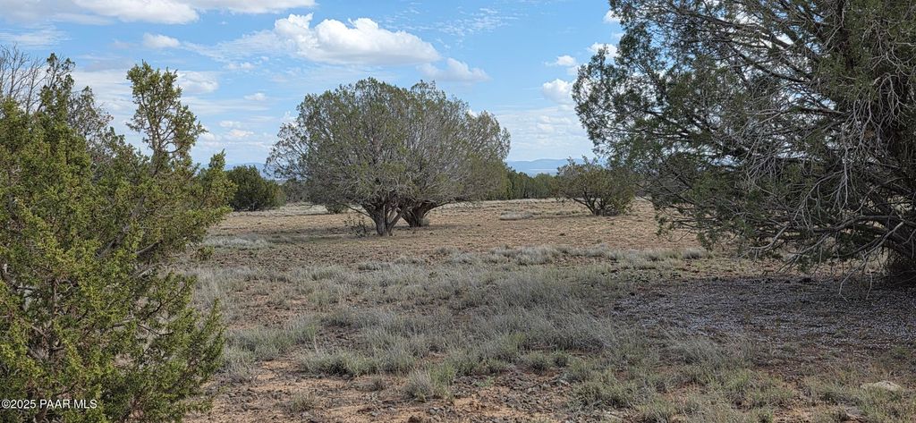 Photo of 64 Antelope Run Dr, Ash Fork, AZ 86320 (MLS # 1077155)