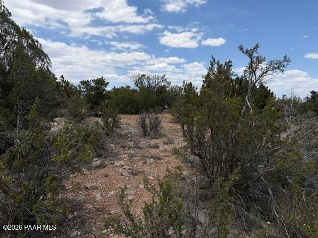 Photo of 3883 N Shadow Mountain Parkway, Seligman, AZ 86337 (MLS # 1081981)