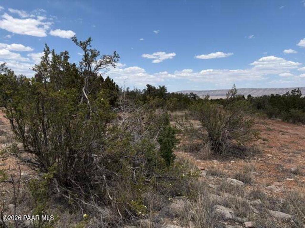 Photo of 3883 N Shadow Mountain Parkway, Seligman, AZ 86337 (MLS # 1081981)