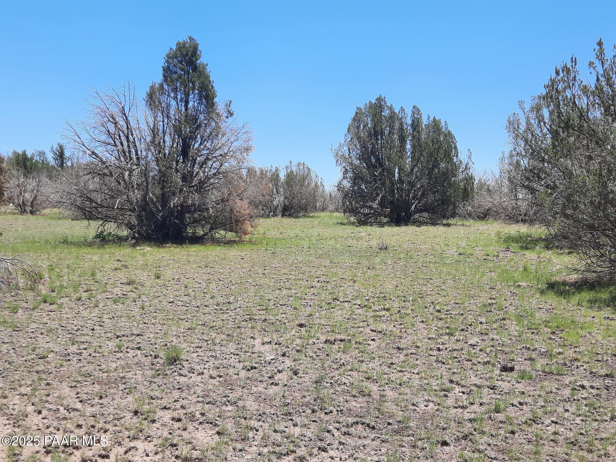 Lot 1316 Anvil Rock Rd